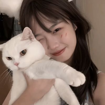 51网综合站点 - 专注51爆料推送，汇聚51漫画官网与视频资源